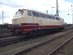 DB 218105 Mus-KO
