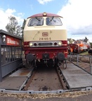 DB 218105d Mus-KO