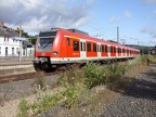 DB 423827 Frie