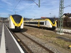 DB 1440363 Him