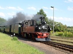 DBG D99574d Müg