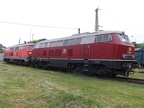 DB-Mus 216067b Mus-KO