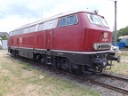 DB-Mus 216067d Mus-KO