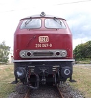 DB-Mus 216067e Mus-KO