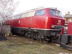 DB-Mus 216067 Mus-KO