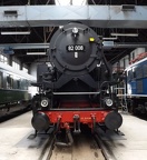 DB-Mus 82-008d Mus-KO