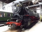 DB-Mus 82-008e Mus-KO