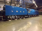 NRM 4468b Mallard