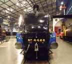 NRM 4468 Mallard