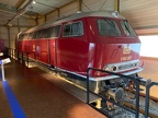 DB-Mus 216067g Mus-N