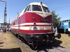 DB-Mus V118005d Mus-KO
