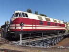 DB-Mus V118005e Mus-KO