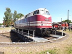 DB-Mus V118005f Mus-KO