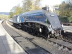 SNGLT 60007 Grosmt