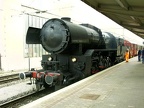 CFL 1E 5519b Lux