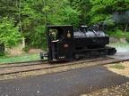 MBD Dampf 1 Giedel