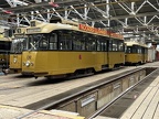 ROVM N0130d Mus