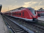 DB 1440029 N-Hbf