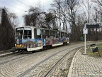 Sofia 3021b T6A2B Vish