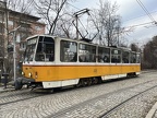 Sofia 3027b T6A2B Vish