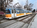 Sofia N4415 Laz
