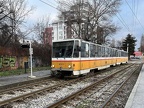 Sofia N4121 T6B5B Laz