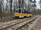 Sofia 3019 T6A2B Bor