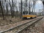 Sofia 3029 T6A2B Bor