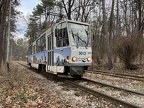 Sofia 3012 T6A2B Bor