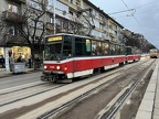 Sofia N4184 T6A5 Tea