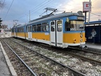 Sofia N4411b GT8 Laz