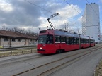 SVB 731d Ming