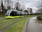 bibus 1017 Poly