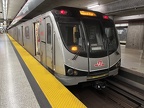 TTC U 6156 Rock ShepY