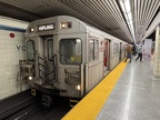 TTC U 5157 T1 Yonge