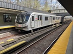 TTC U 5926 Rock Rose