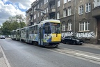 TS ET 209 Ant