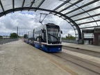 Byd 368 Swing DwWsch
