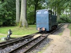 WEM V Koe-0473d