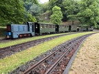 WEM V Koe-0473f