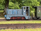 WEM V Koe-0473g