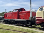 DB-Mus 714015 Mus-KO