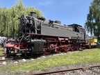 DB-Mus 82-008g Mus-KO