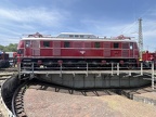 DB-Mus E19-12d Mus KO