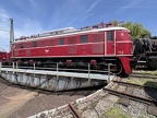 DB-Mus E19-12e Mus-KO