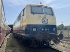 DB-Mus 111001d Mus-KO