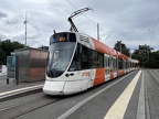 TPG 1837b Tango Nat