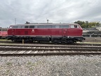 NeSA V218155d Bw-RW