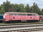 NeSA V218156b Bw-RW