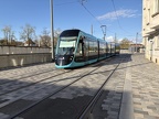 Ginko 902d 305 AvECus